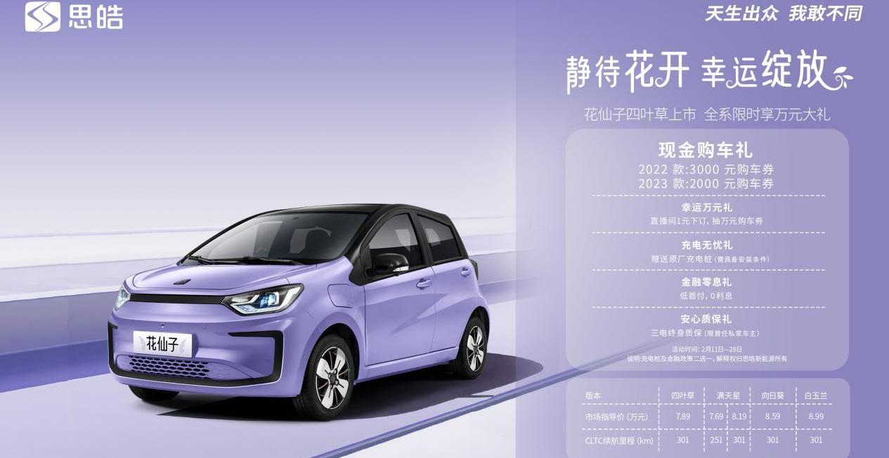 思皓,花仙子,MINI,宏光MINIEV,思皓E40X
