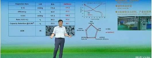 比亚迪,江淮,思皓,花仙子,特斯拉