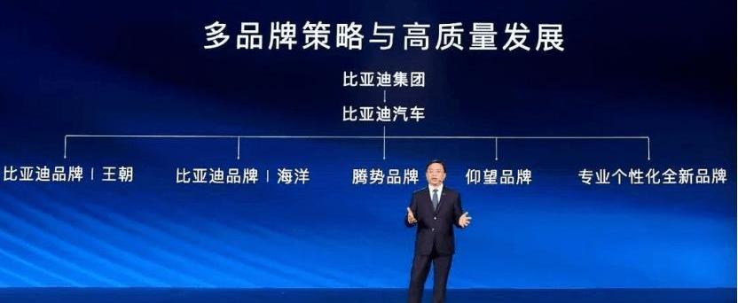 比亚迪,仰望,奔驰,大众,腾势