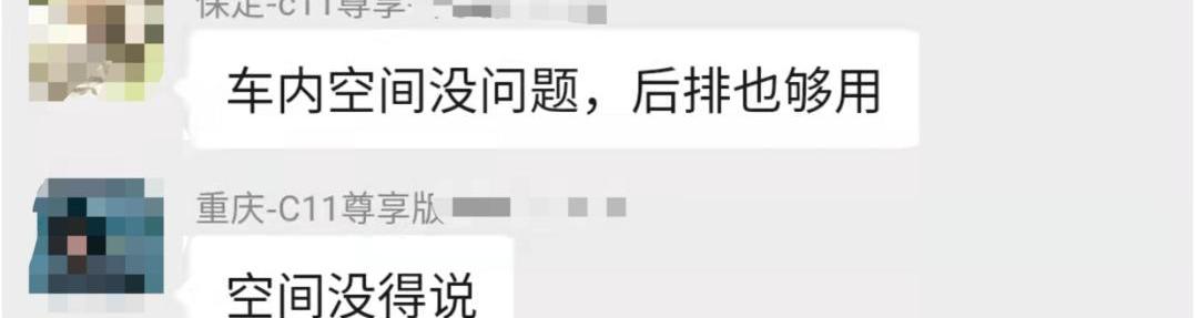 零跑汽车,比亚迪,零跑T03,零跑C01,理想ONE