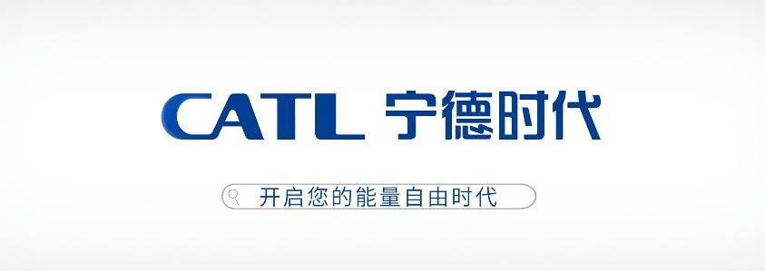 比亚迪,极氪,特斯拉,蔚来
