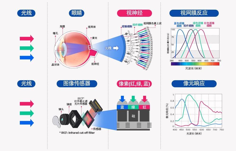 蔚来,极氪,理想L9,哪吒U,特斯拉