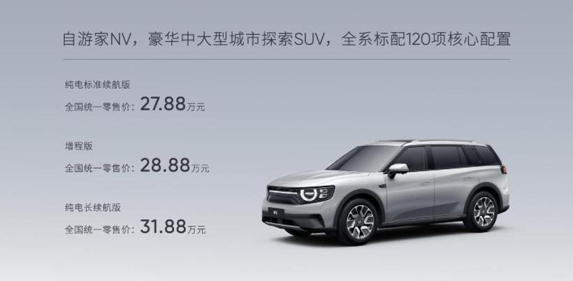 奇瑞,特斯拉,长安,奇瑞新能源,Model Y