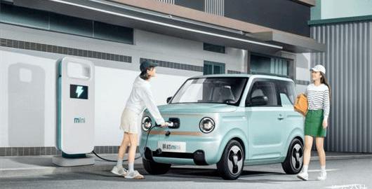 熊猫mini,MINI,宏光MINIEV,远程,发现