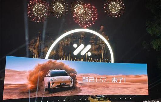 大众,MINI,宏光MINIEV,名爵,智己汽车