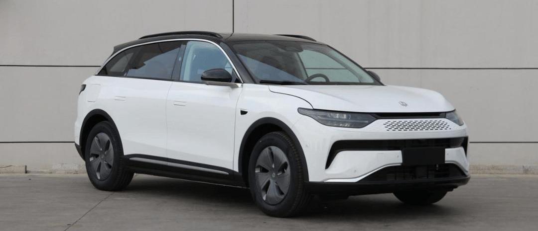 极氪,埃安,AITO,岚图汽车,理想汽车