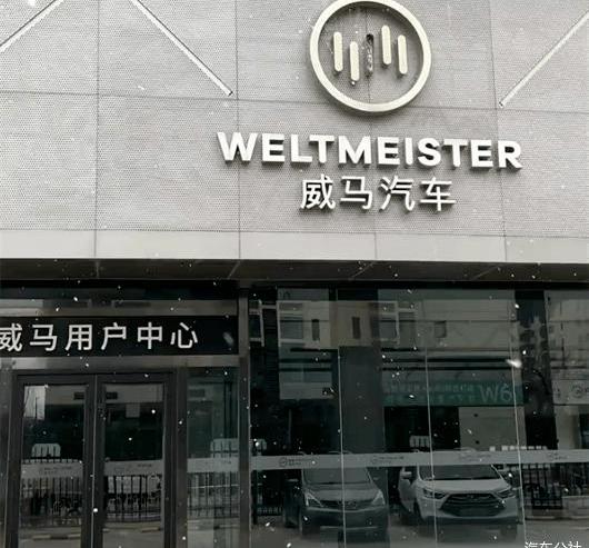 Tesla, BMW, Aeon, Toyota, BYD