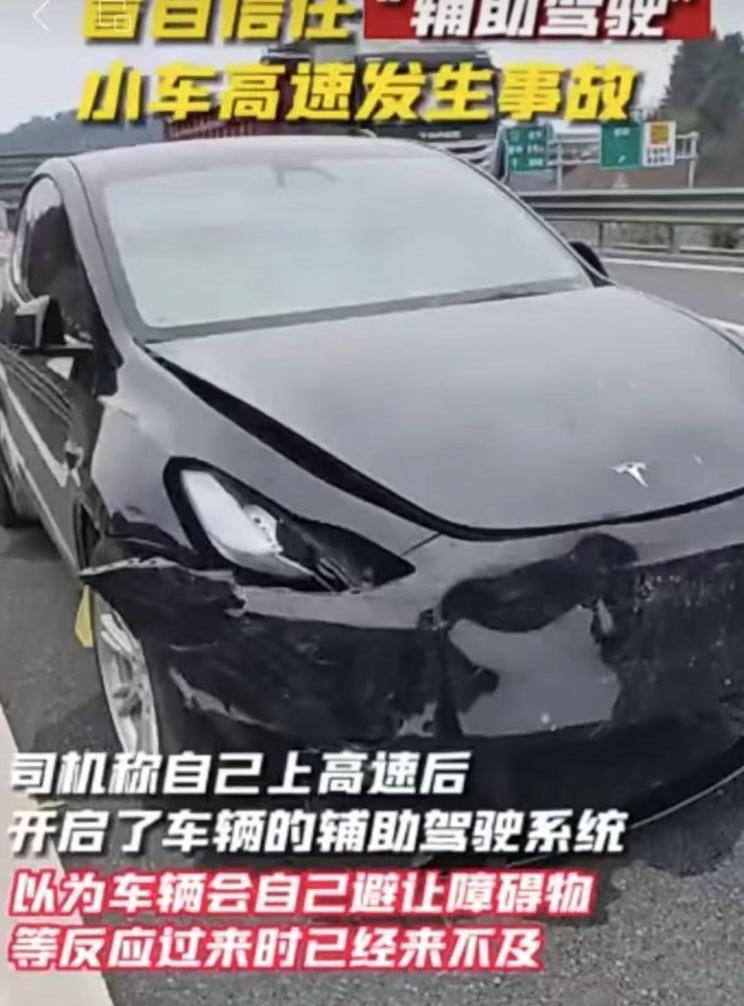 Tesla, ZEEKR X, Volvo, Weilai, Feifan F7