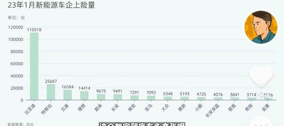 BYD, Ai 'an, BMW, Chang 'an, Volkswagen