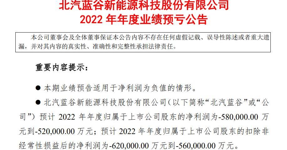 BYD, Weilai