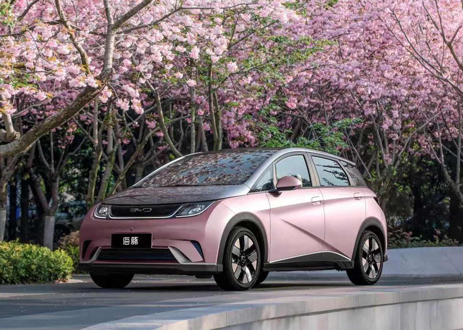 BYD, Dolphin, Tesla, Weilai