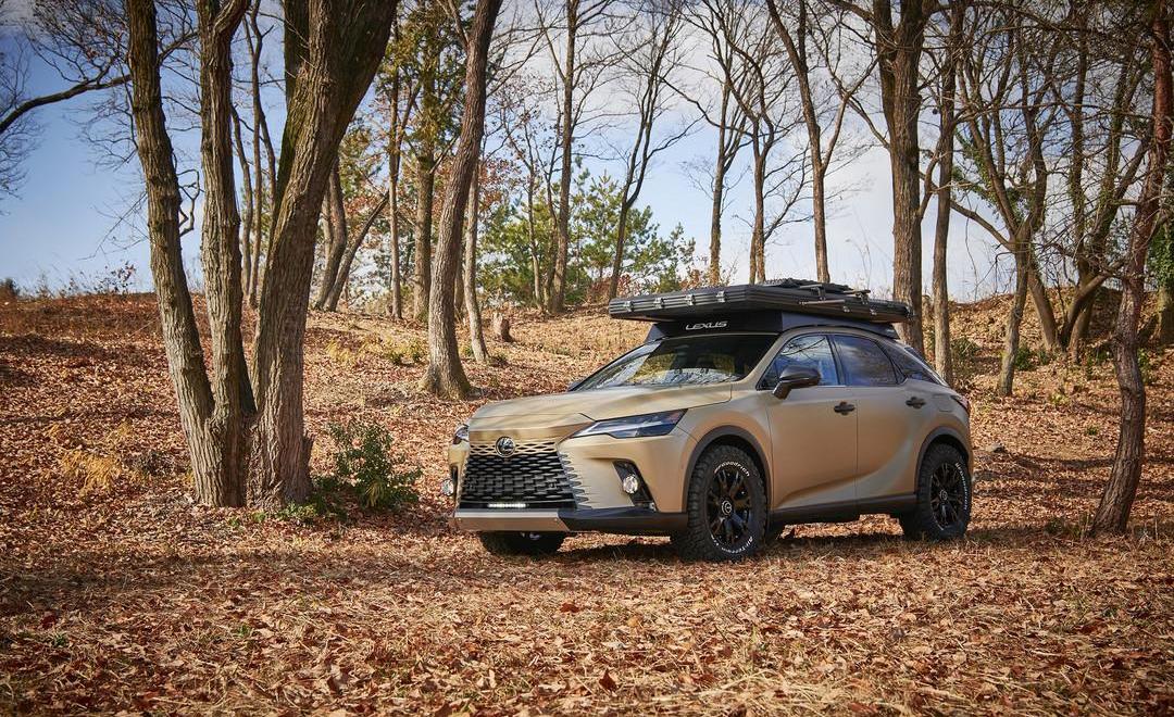 Lexus, Lexus RX, concept