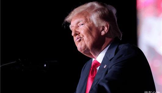 Tesla, Model Y, Audi, BMW, found