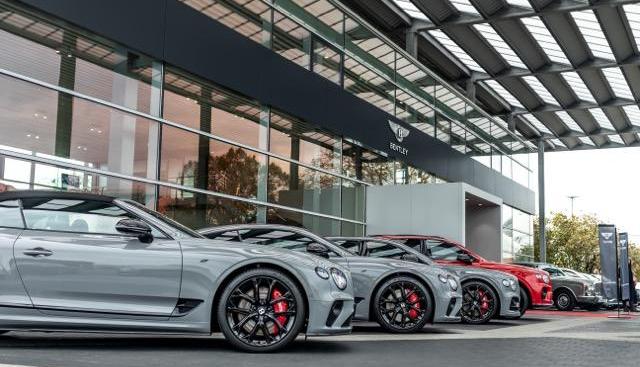 Bentley, gallop, leap