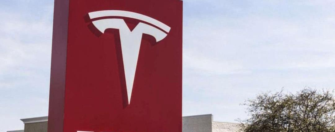 Tesla, Weilai, Wangwang, Lotus, Volvo