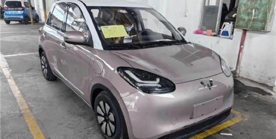 Wuling Binguo