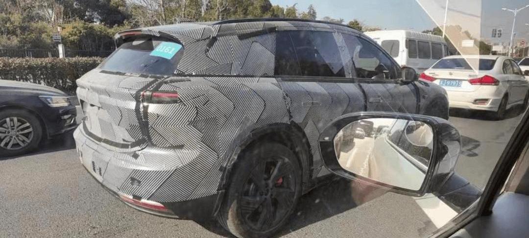 Tesla, Weilai, Wangwang, Lotus, Volvo