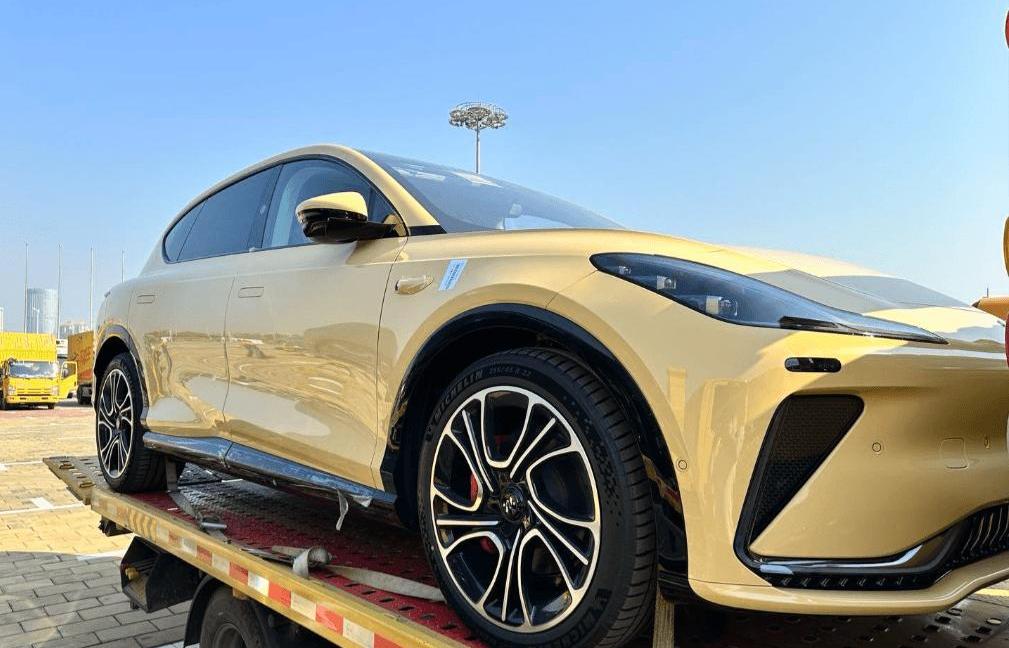 Arte, BYD, Wangwang, Tesla, Zhiji LS7