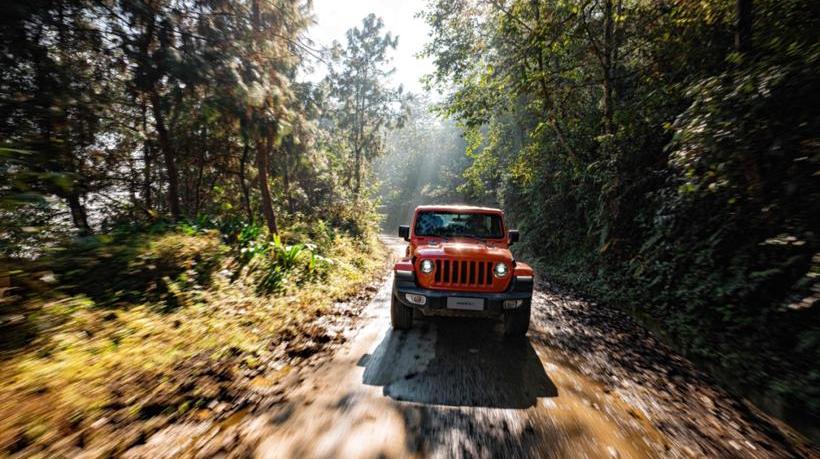 Jeep, herdsman, gladiator, Volkswagen, Guangzhou automobile group 