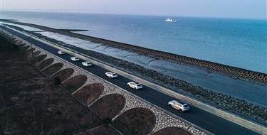 Skoda, Hengchi, Tucki, Honda, Beijing