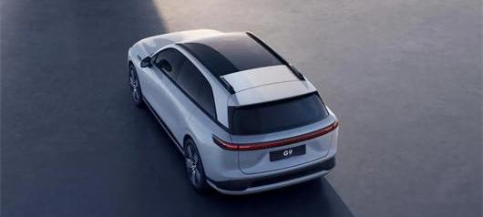 Tucki, Weilai, BYD, Tesla, Zotye
