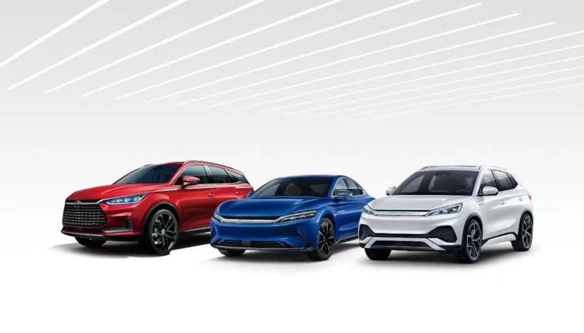 Great Wall, BYD, Tesla, Chery, southeast
