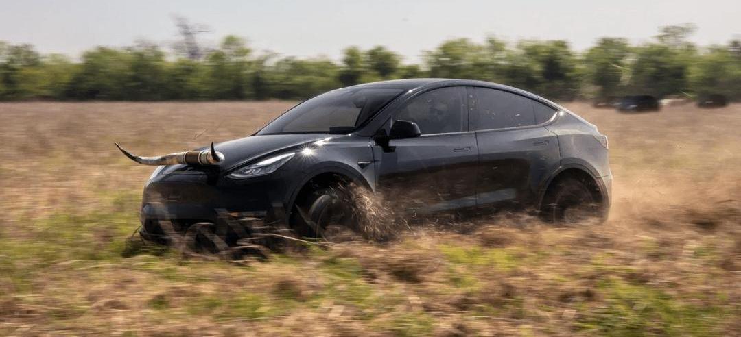 Tesla, model y