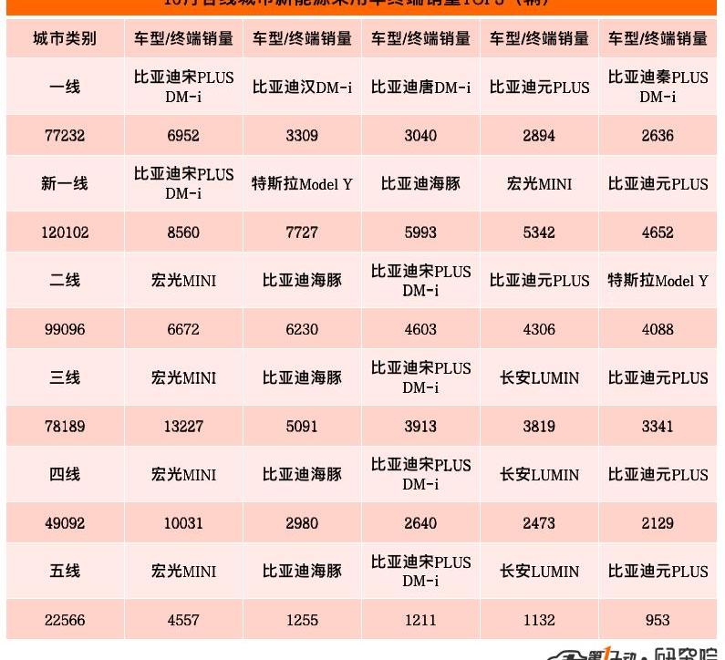 BYD, Yuan PLUS, Dolphin, Tesla, Model Y