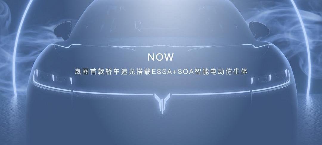 BMW, Weilai, Porsche, smart, Tesla