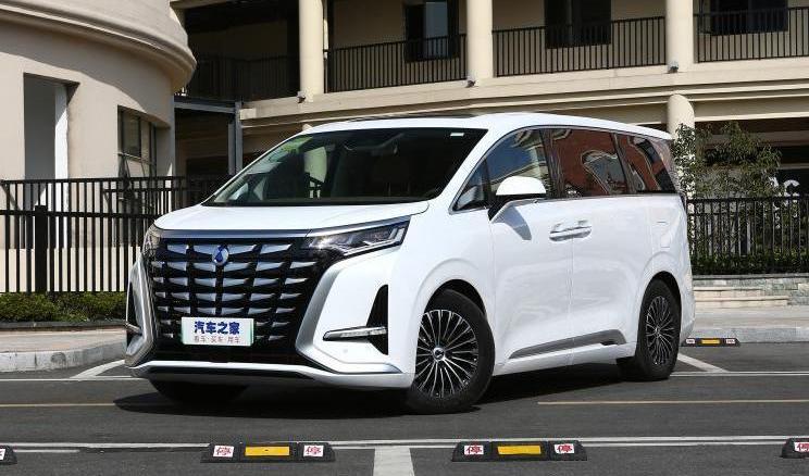 BYD, looking up, soaring, concept, soaring D9