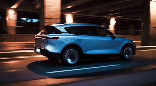 Tucki, Wen Jie M5, Li ONE, Ideal L9, Co-creation