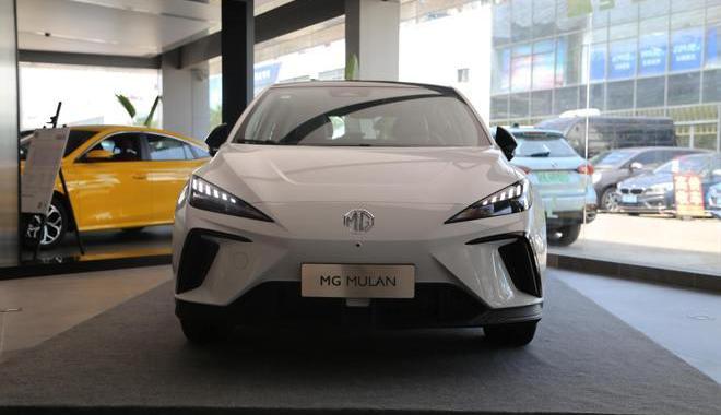 MG MULAN, dolphin, zebra, Rubik's cube, Volkswagen 