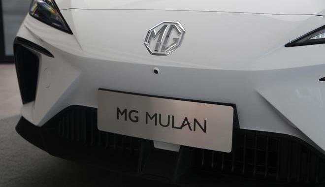 MG MULAN, dolphin, zebra, Rubik's cube, Volkswagen 