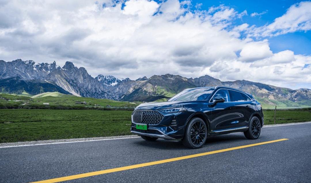 Great Wall, Tank, Euler, Wei Brand, Haval