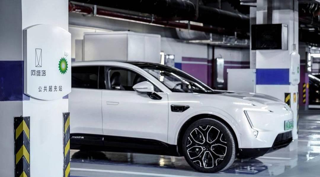 Aouita, Krypton, AITO, Tesla, Tucki