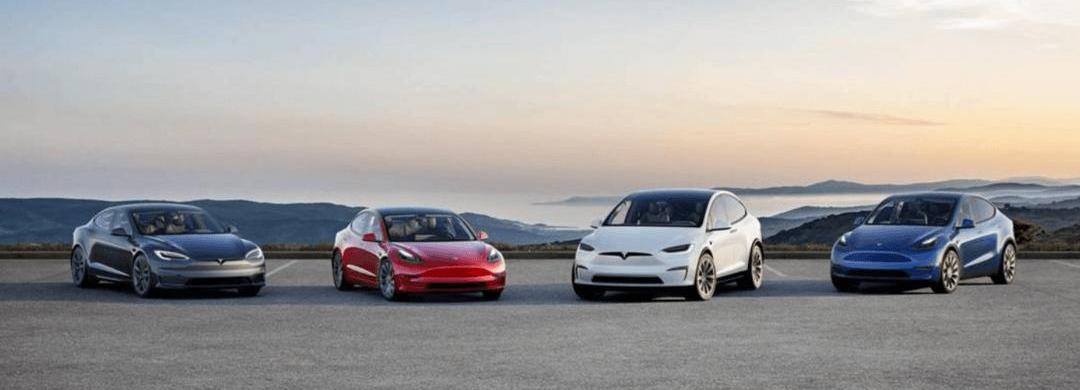 Aouita, Krypton, AITO, Tesla, Tucki