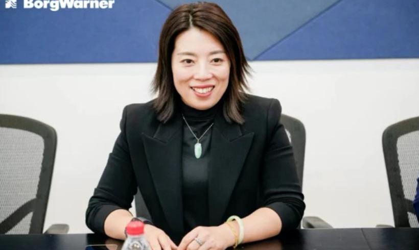 Great Wall, Tank, Tank 500, Shanhai Gun, Gun