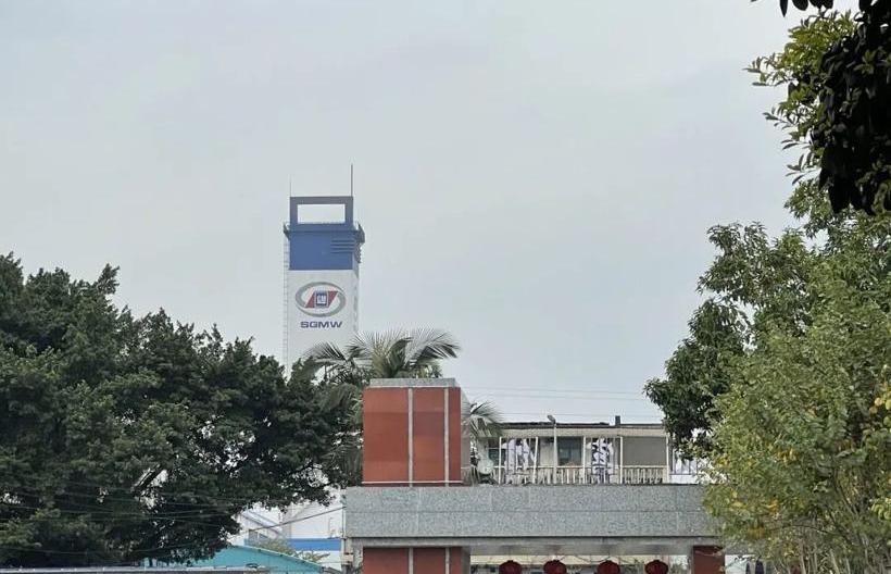 MINI, Hongguang MINIEV, Baojun, Volkswagen, Tesla 