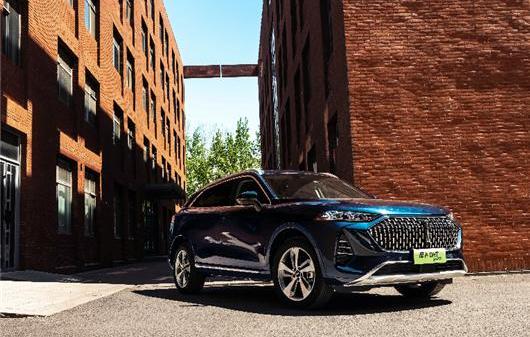 Great Wall, Tank, Haval, Wei Pai, Euler