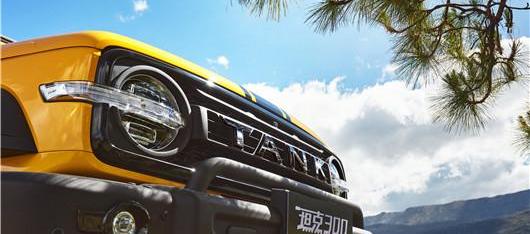 Great Wall, Tank, Haval, Wei Pai, Euler