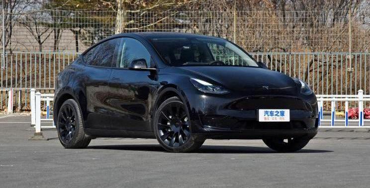 Tesla, Euler, Tucki, mini, model y