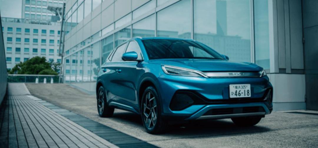 BYD, Dolphin, Seal, Tesla, Honda