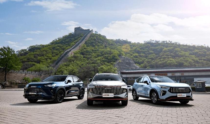 Great Wall, Euler, Wei Pai, Haval, Mocha