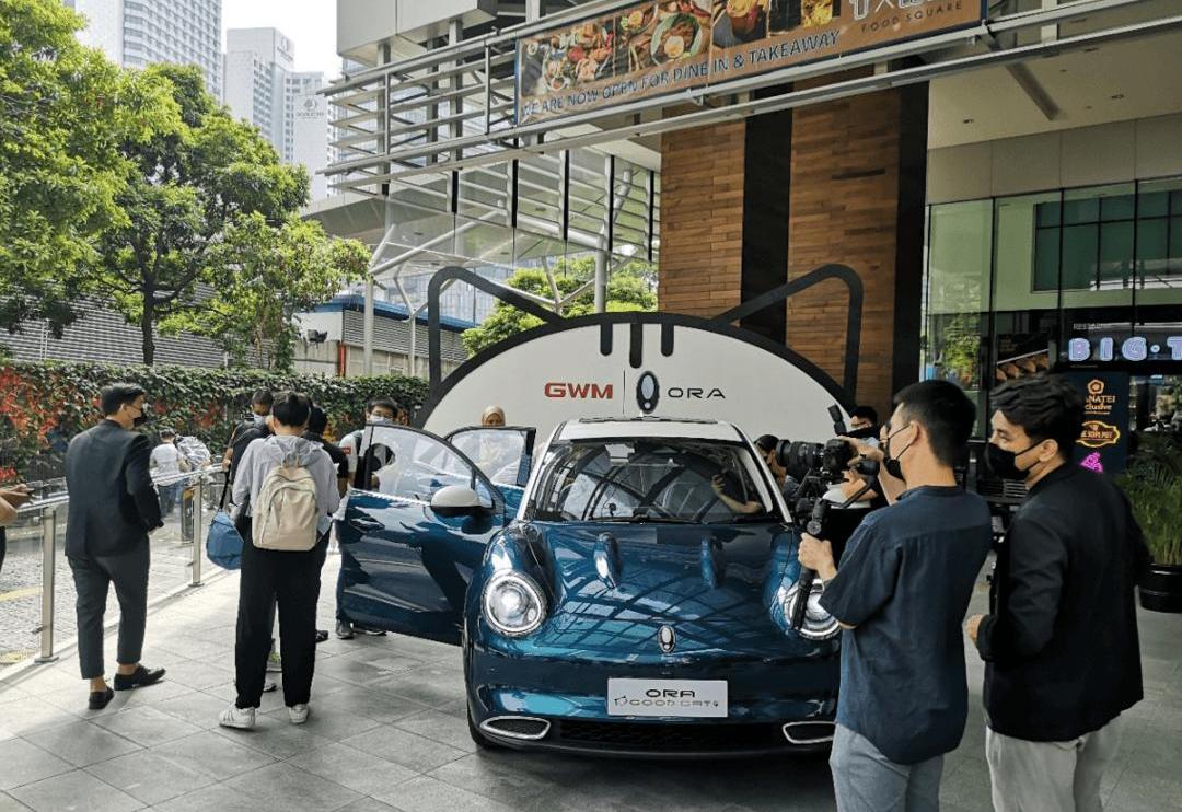 Great Wall, Euler, Wei Pai, Haval, Mocha