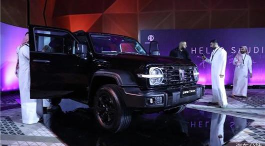 Great Wall, Wei Pai, Haval, Euler, Tanks