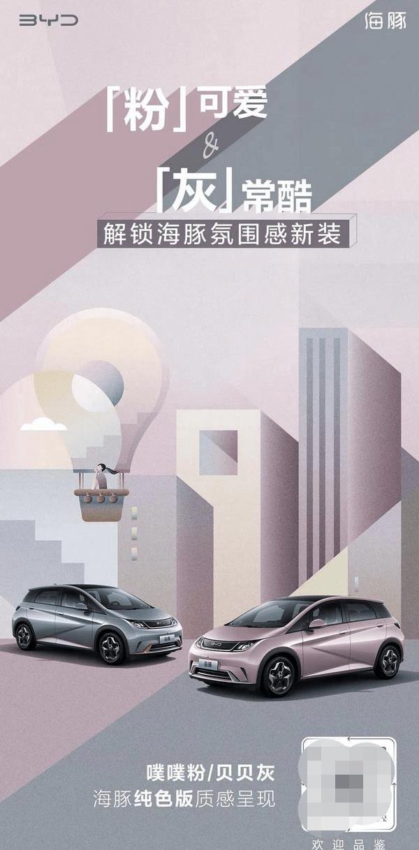 Seagull, Dolphin, BYD, Tucki, DS