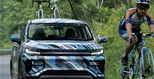 Great Wall, BYD, Ford, Tesla, Volkswagen