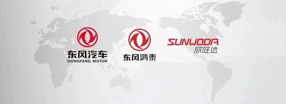 BYD, Volkswagen, Dongfeng, Weilai, Tucki