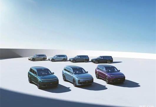 Ideal L9, Li ONE, Weilai, Aouita, BYD