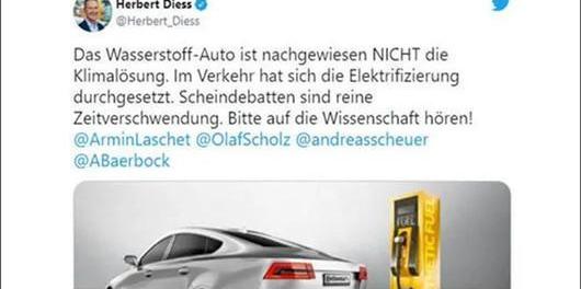 Hyundai, Toyota, Gun, Tesla, Honda